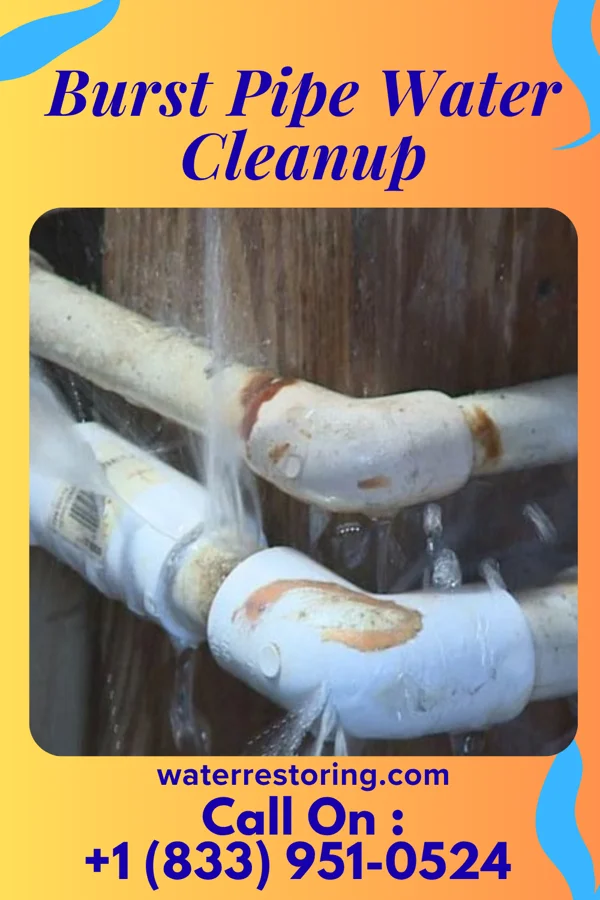 Burst Pipe Water Cleanup in Remington, VA