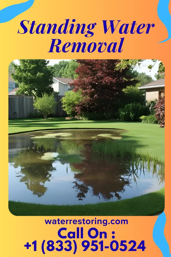 Standing Water Removal in Remington, VA